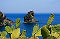 Faraglione e fichi d'india
